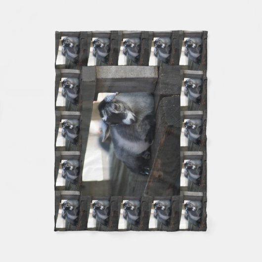 Couverture Polaire Chèvre (Devant)