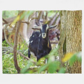 Couverture Polaire Chèvre souriante (Devant (Horizontal))