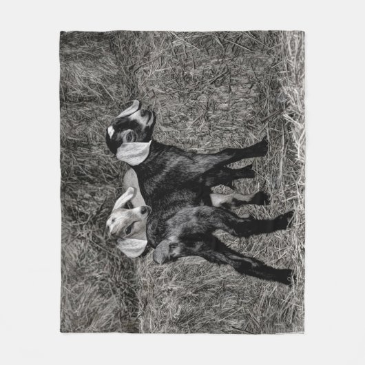 Couverture Polaire Chèvres de bébé sur le foin (Devant)
