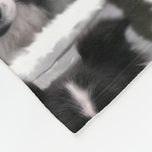 Couverture Polaire Chien de border collie (Coin)