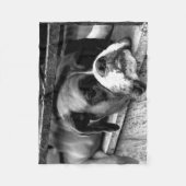Couverture Polaire Chien de boxe sur Windows sill fbcna (Devant)