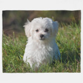 Couverture Polaire Chien de chiot maltais blanc farci (Devant (Horizontal))