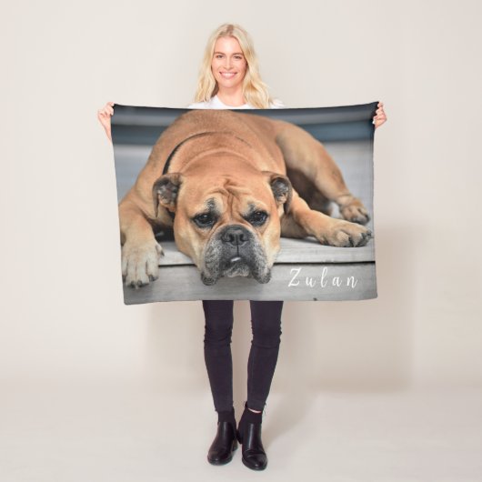 Couverture Polaire Chien de compagnie Chubby Continental Bulldog (En situation)