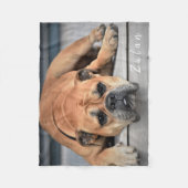 Couverture Polaire Chien de compagnie Chubby Continental Bulldog (Devant)