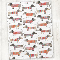 Chien de saucisse Dachshund