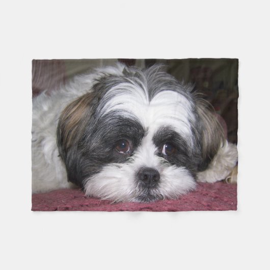 Couverture Polaire Chien de Shih Tzu (Devant (Horizontal))