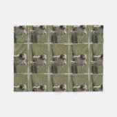 Couverture Polaire Chien doux de carlin (Devant (Horizontal))