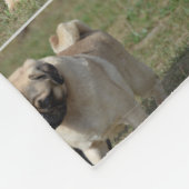 Couverture Polaire Chien doux de carlin (Coin)