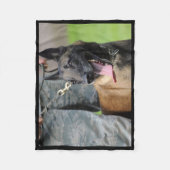 Couverture Polaire Chien Malinois Belge Souriant (Devant)