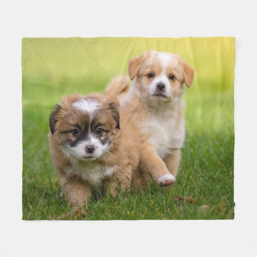 Couverture Polaire Chiens (Devant (Horizontal))