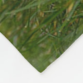Couverture Polaire Chiens (Coin)