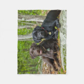 Couverture Polaire Chiens Chiens Marionnettes Black Lab Chocolat Labr (Devant)