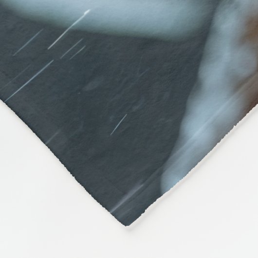 Couverture Polaire Chiens Griffon pointant à poils fourrés Noël Neige (Coin)