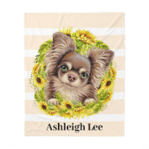 Chihuahua Cutie