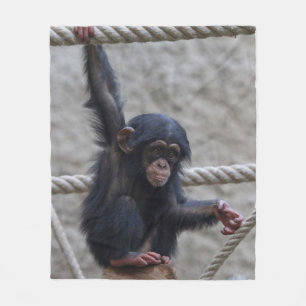 Couverture Polaire Chimpanzé 017