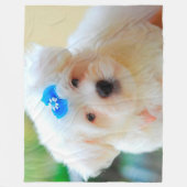 Couverture Polaire Chiot (Devant)