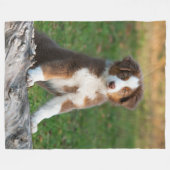Couverture Polaire Chiot australien mignon de berger, confortable (Devant (Horizontal))