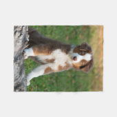 Couverture Polaire Chiot australien mignon de berger, confortable (Devant (Horizontal))