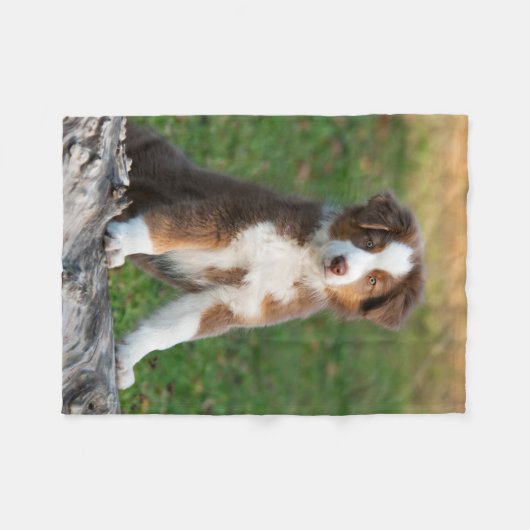 Couverture Polaire Chiot australien mignon de berger, confortable (Devant (Horizontal))