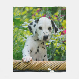 Couverture Polaire Chiot dalmatien mignon de chien, confort