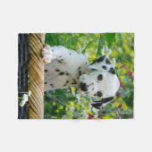 Couverture Polaire Chiot dalmatien mignon de chien, confortable (Devant (Horizontal))