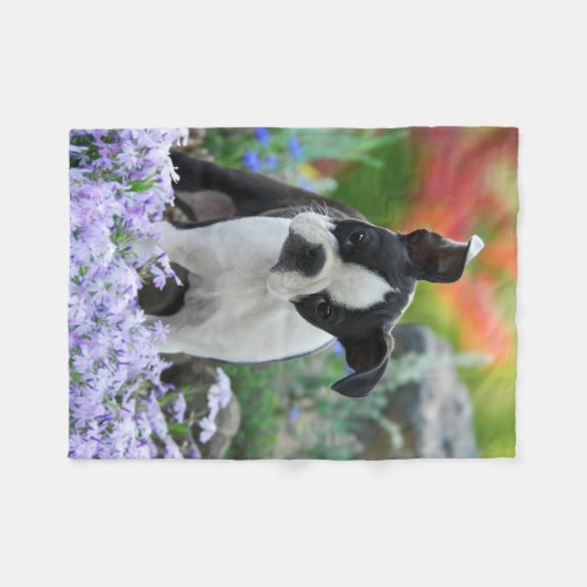 Couverture Polaire Chiot de Boston Terrier Dog (Devant (Horizontal))