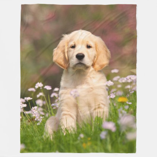 Couverture Polaire Chiot de chien de golden retriever, confortable (Devant)
