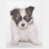COUVERTURE POLAIRE CHIOT DE PAPILLON (Devant)