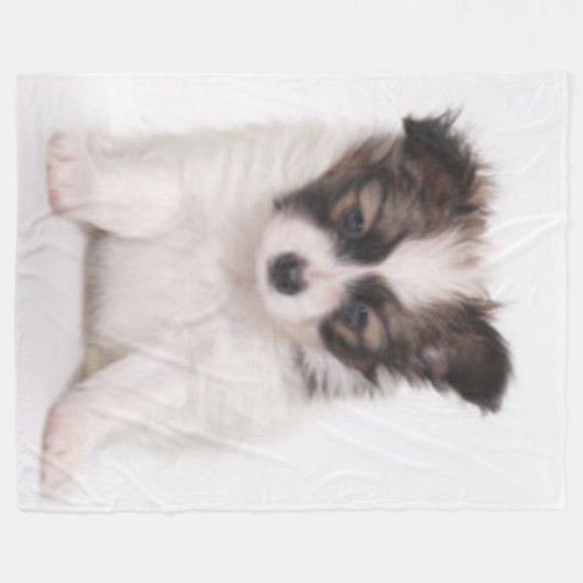 COUVERTURE POLAIRE CHIOT DE PAPILLON (Devant (Horizontal))