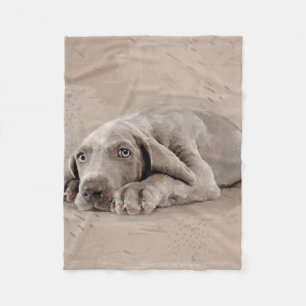 Couverture Polaire Chiot de Weimaraner