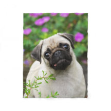 Chiot mignon de carlin de faon