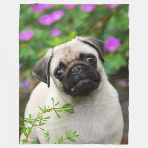 Couverture Polaire Chiot mignon de carlin de faon, mou