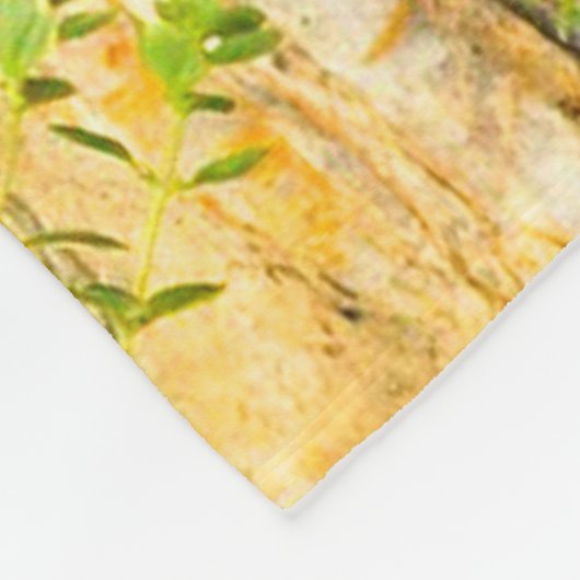 Couverture Polaire Chiots (Coin)