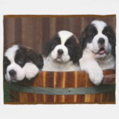 COUVERTURE POLAIRE CHIOTS DE ST BERNARD (Devant (Horizontal))