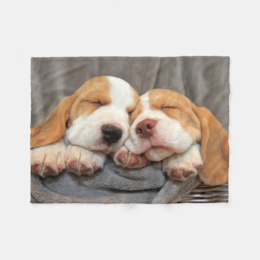 Couverture Polaire Chiots somnolents (Devant (Horizontal))