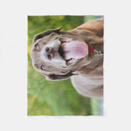 Couverture Polaire Chocolate Labrador Dog (Devant)