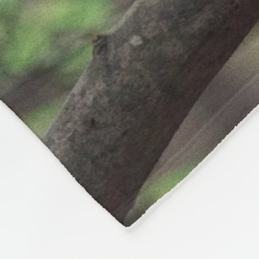 Couverture Polaire Chouette barrée (Coin)