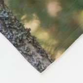 Couverture Polaire Chouette barrée à l'automne | Alger County, MI (Coin)