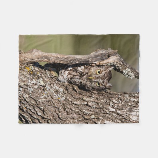 Couverture Polaire Chouette de l'Est (Devant (Horizontal))