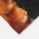 Couverture Polaire Chow Chow Chow à coucher fbcna (Coin)