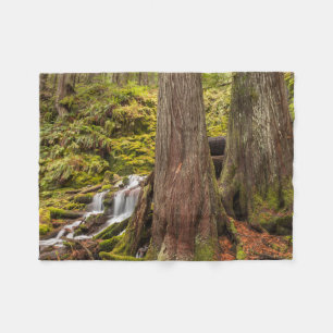 Couverture Polaire Chutes de White Branch, Cascades de l'Oregon, Oreg