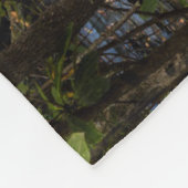 Couverture Polaire Chutes du ruisseau Dunloup | Virginie occidentale (Coin)