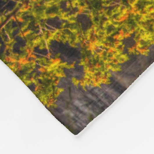 Couverture Polaire Chutes supérieures aux couleurs automnales (Coin)