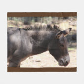 Couverture Polaire Closeup de Mule - Arizona (Devant (Horizontal))