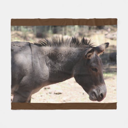 Couverture Polaire Closeup de Mule - Arizona (Devant (Horizontal))