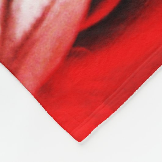 Couverture Polaire Clown 1 fbcna (Coin)