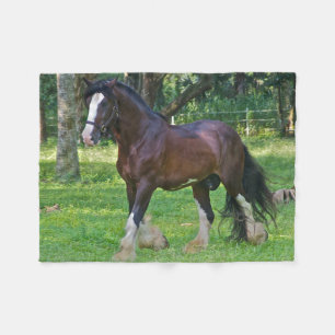 Couverture Polaire Clydesdale Horse