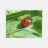 Couverture Polaire coccinelle (Devant (Horizontal))