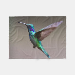 Couverture Polaire Colibri en vol