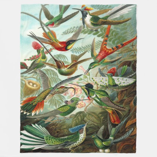 Couverture Polaire Colibris Ernst Haeckel (Devant)